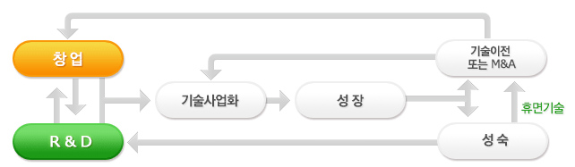 기술혁신단계와 기업의 성장과정